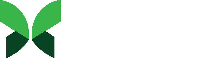 Chrysalis Solutions Trading LLC